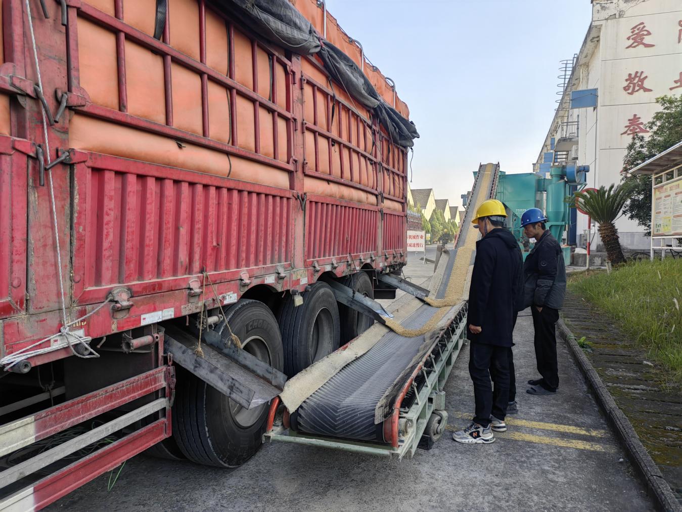 糧儲(chǔ)公司2025年度區(qū)級(jí)儲(chǔ)備糧輪換入庫工作圓滿完成